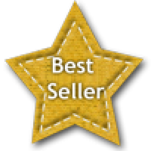 Icon Bestseller Copy 600x400