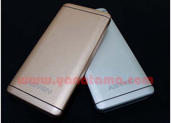 Power Bank P100al12 600x400