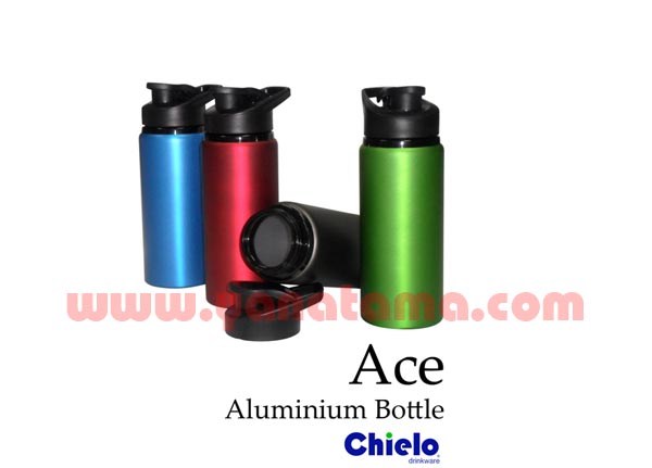 Stainless Bottle Ace   Rkec 01a 600x400